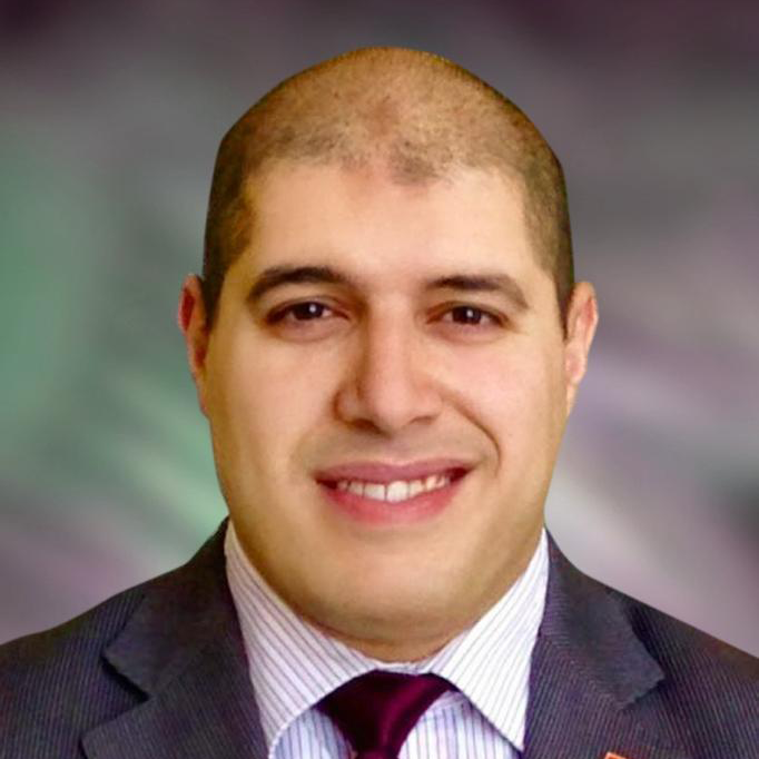 Assoc. Prof. Dr. Mahmoud Saeed Ibrahim Alkawli
