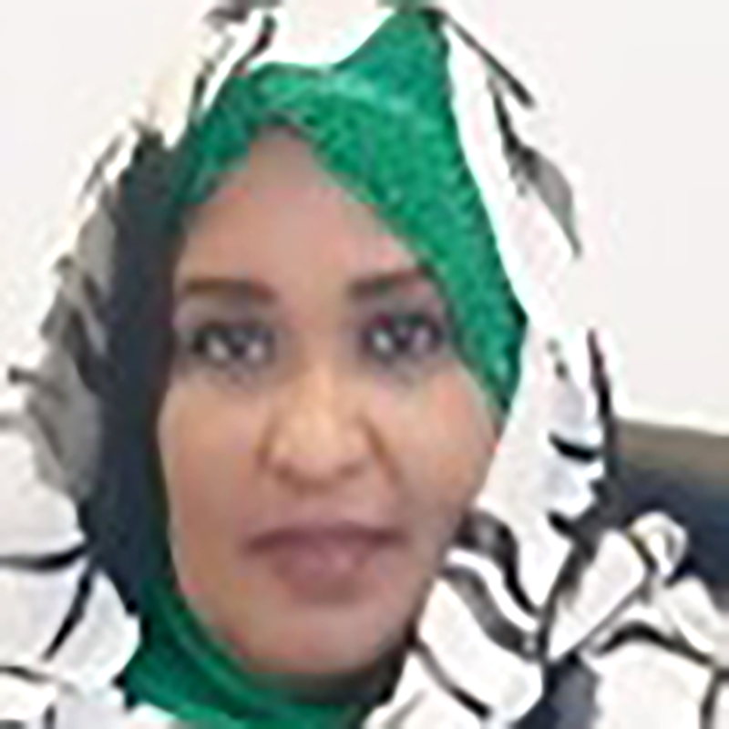 د. منارة محمد عثمان محمد