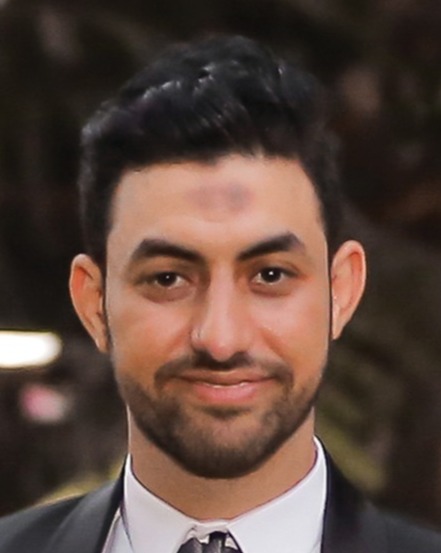د. محمد الأمير السيد أحمد