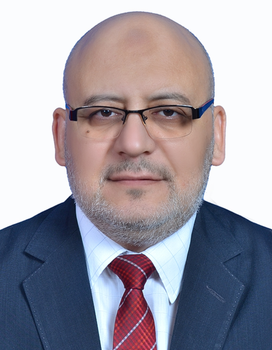 د. محمد فتحي محمد حسن